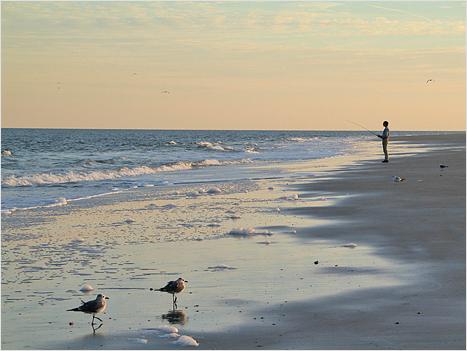 Man Fishing on the Beach